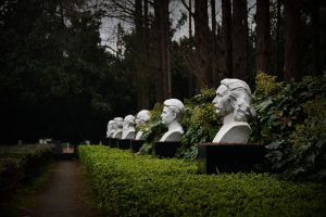 Miksi Julkkikset Rakastuvat — ja Pakenevat — Kasinoista